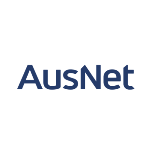 Coaching and Transition client AusNet logo