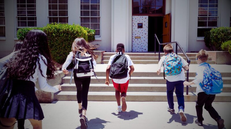 School (2)