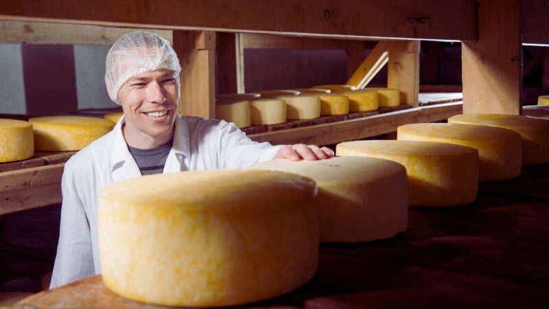 australian dairy and food company