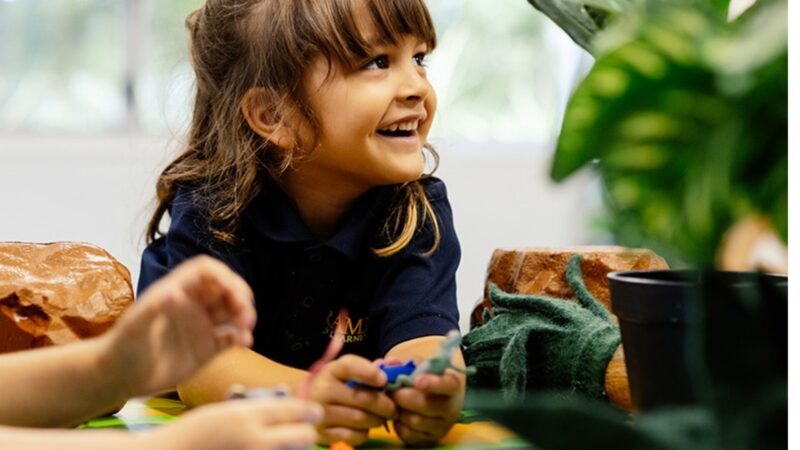 Director of Business Queensland School - Education