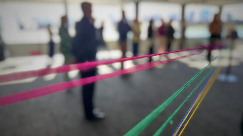 Future Leadership Team - A Capability Ecosystem