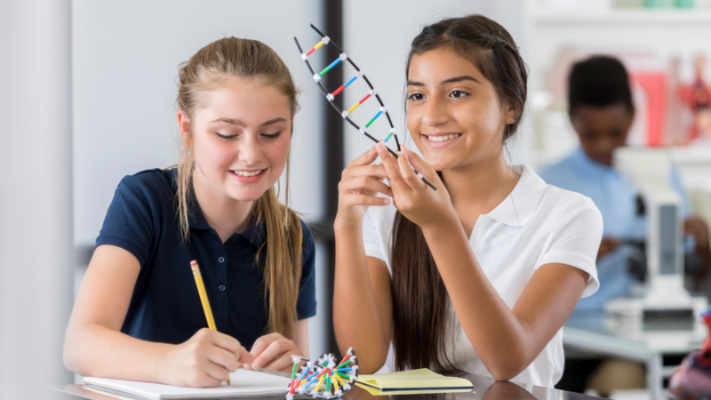 Independent Roman Catholic Girls School