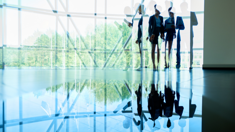 Interim CPO in Independent Statutory Authority