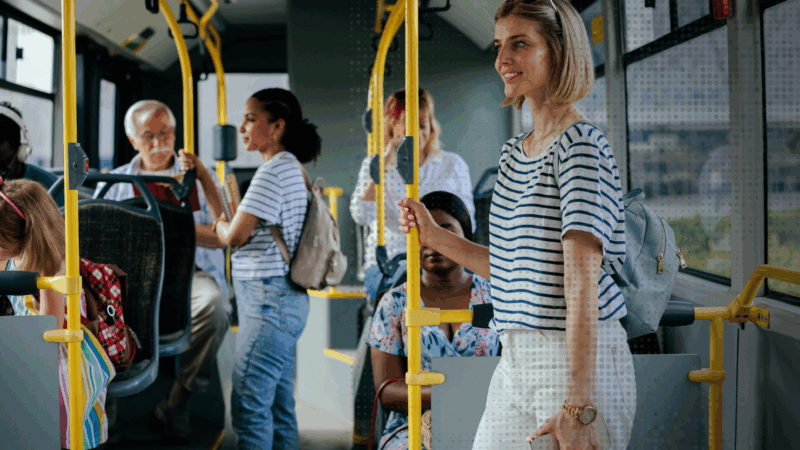 Interim Project Director for Ticketing System Transformation