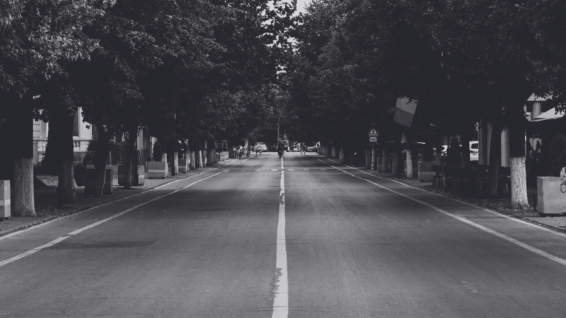 Case Study Local Council