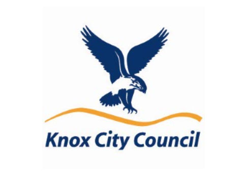 Director City Liveability